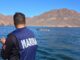Semar lidera operación de puesta a flote de ballena muerta en costas de Sonora