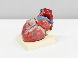 El 60 % de los mexicanos tiene riesgo de desarrollar enfermedades cardiovasculares