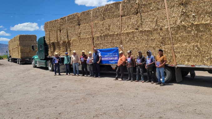 Abren la convocatoria para acceder a apoyo de esquilmos y pacas de rastrojo