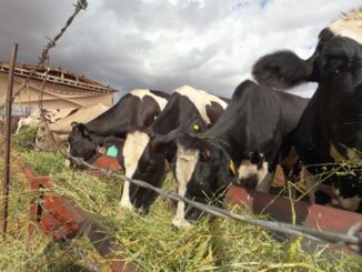 Abre SDR convocatoria de apoyo fiduciario para facilitar financiamiento a productores agropecuarios