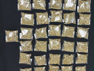 Detiene AEI a masculino con casi medio kilo de mariguana en Cd. Juárez