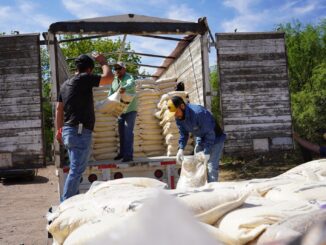  Estado y Municipio entregan alimento para ganado a mil 150 productores de la zona rural de la capital
