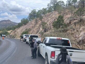 Localiza Operativo Interinstitucional restos óseos durante rastreo en carretera Parral- Guadalupe y Calvo