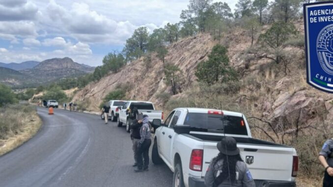 Localiza Operativo Interinstitucional restos óseos durante rastreo en carretera Parral- Guadalupe y Calvo