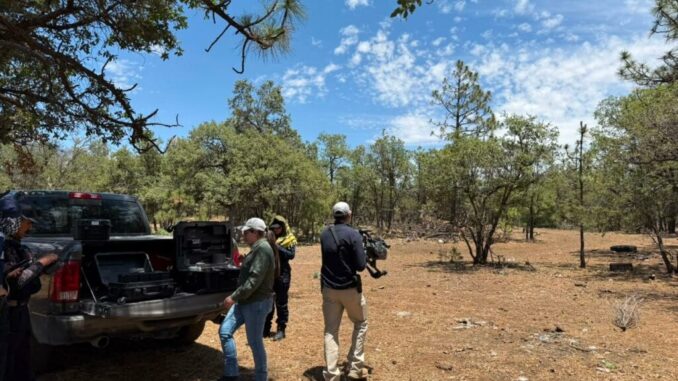 Continúan las acciones de búsqueda de personas desaparecidas en el municipio de Casas Grandes