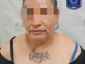 Detiene AEI a imputada por el robo de un monedero en Parral