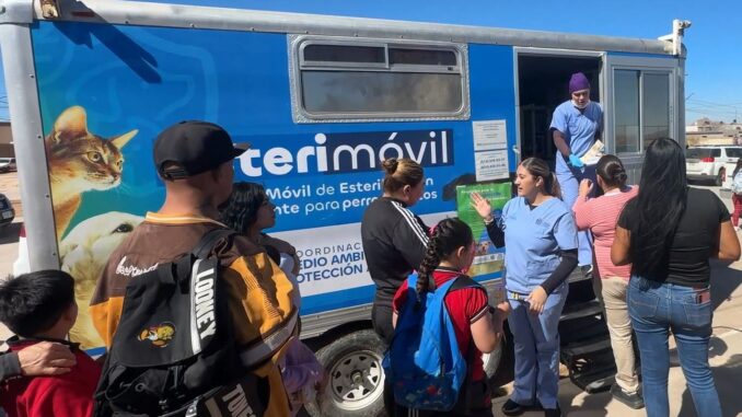 Mascotas más saludables en la zona rural: Municipio lleva servicios de protección animal