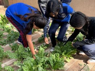 Huertos escolares siembran aprendizaje en comunidades rurales de Chihuahua Capital