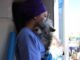 Fortalece Municipio protección animal con esterilizaciones para perros y gatos