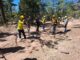 Llama SDR a evitar quemas agrícolas sin autorización para prevenir incendios forestales